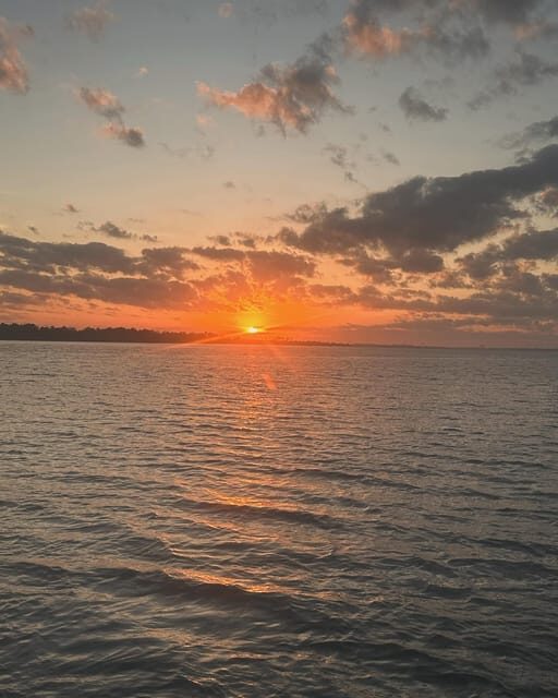 Fort Walton: Sunset Dolphin Cruise on the Emerald Coast - Final Thoughts