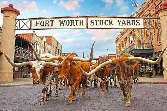 Fort Worth Highlights & Southfork Ranch Combo Tour - An In-Depth Look at the Tour Experience