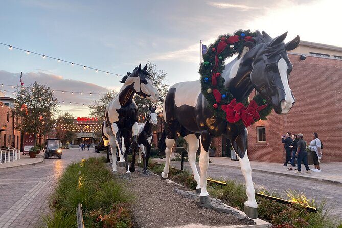 Fort Worth Highlights Tour - The Sum Up: Who Is This Tour Perfect For?