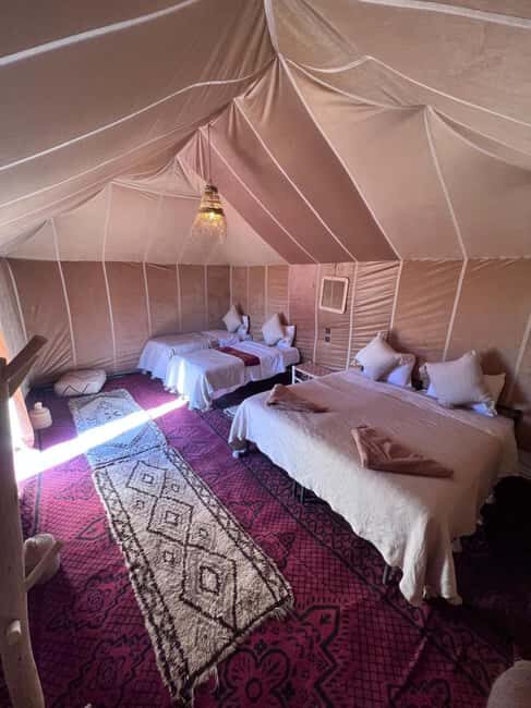 Foum Zguid: Erg Chegaga Overnight Desert Tour with Camel - An Introduction to the Sahara Adventure