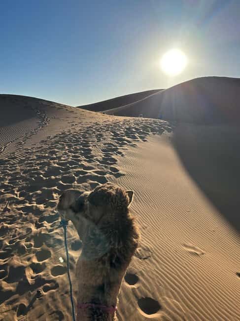 Foum Zguid: Erg Chegaga Overnight Desert Tour with Camel - What to Pack and Tips for Travelers