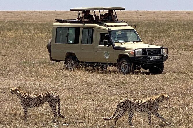 Four Day Lake Tour to Manyara and Serengeti and Ngorongoro Crater - FAQs