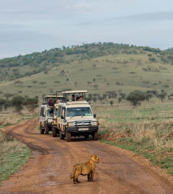 FOUR DAYS BUDGET CAMPING SAFARI - What’s Included and What’s Not