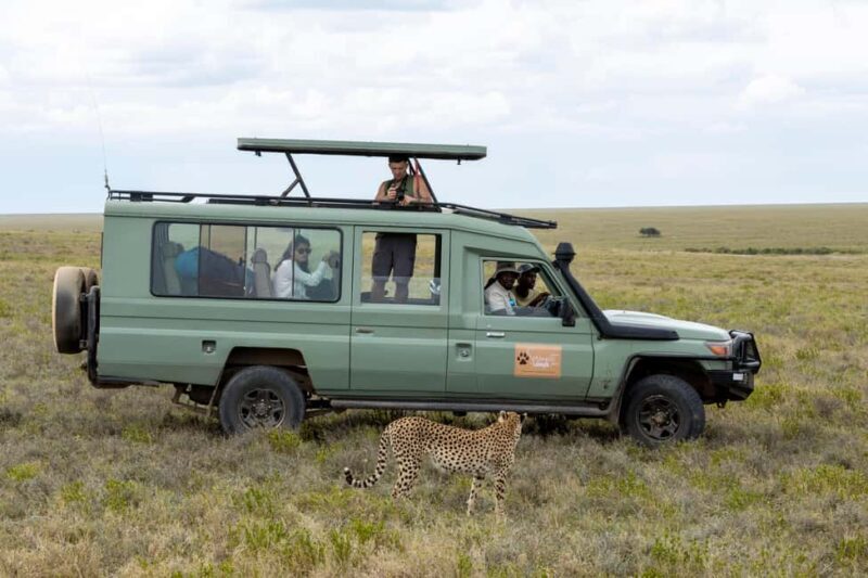 FOUR DAYS BUDGET CAMPING SAFARI - Who is This Safari Best For?