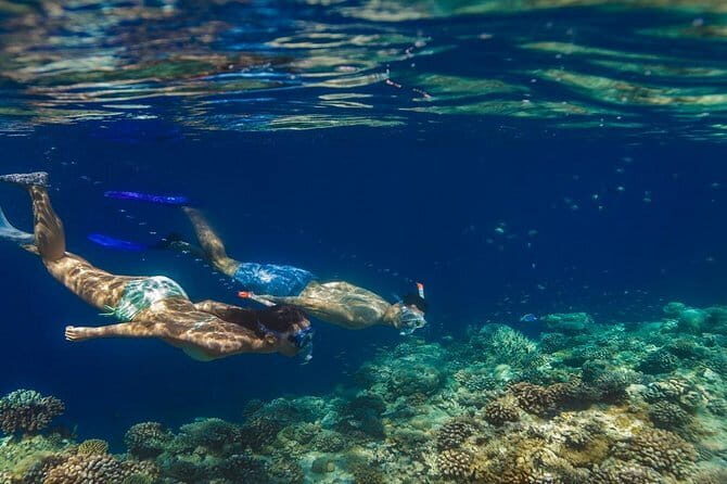 Four Islands Private Tour in Addu City, Maldives - Who is This Tour Best For?