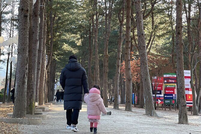 Four Seasons of Nami Island with Garden of Morning Calm Tour - Practical Details and Tips