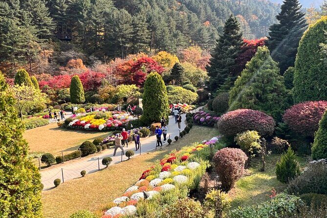 Four Seasons of Nami Island with Garden of Morning Calm Tour - FAQ: Your Practical Questions Answered