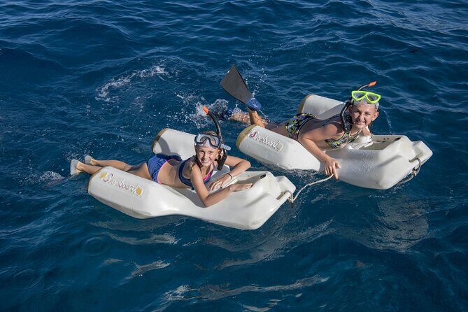 Four Winds Maui Afternoon Snorkel Tour to Coral Gardens - Key Points