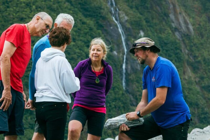 Fox Glacier: Half Day Walking & Nature Tour with Local Guide - Who Will Love This Tour?