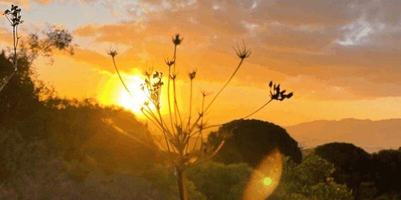 Franschhoek: 2h Horseback Riding at Sunset with Sundowners - Who Will Love This Tour?
