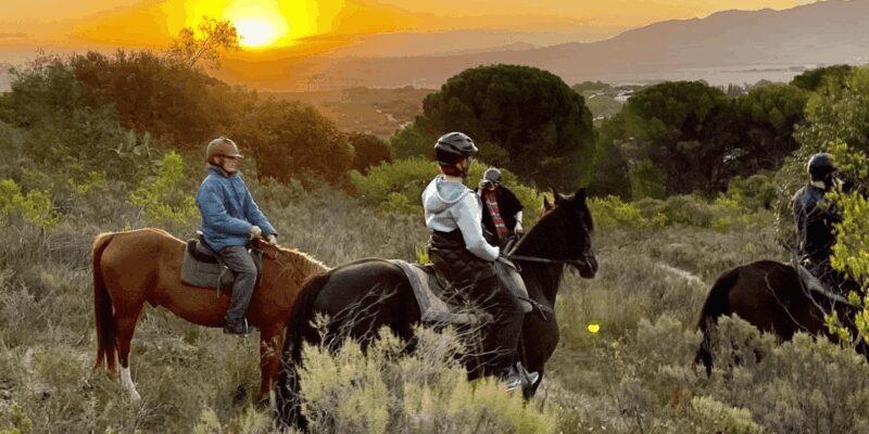 Franschhoek: 2h Horseback Riding at Sunset with Sundowners - Final Thoughts