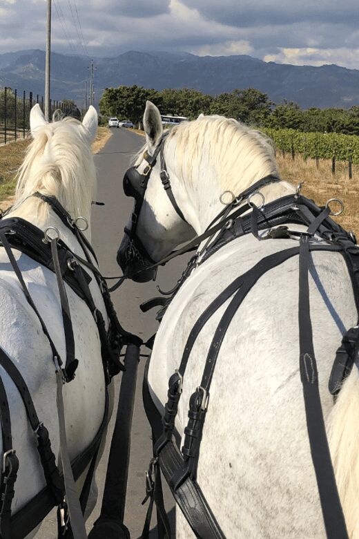 Franschhoek: 2h Private Engagement/Anniversary Carriage Ride - Key Points