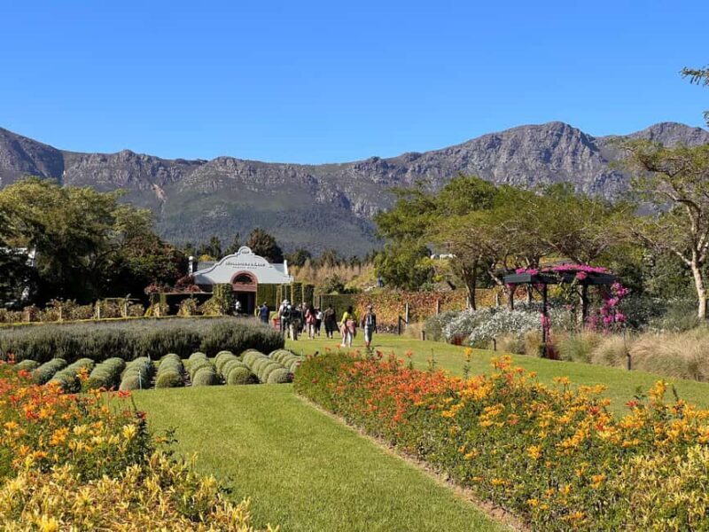 Franschhoek: An enchanting storytelling walk to 3 wine farms - Authentic Feedback from Participants