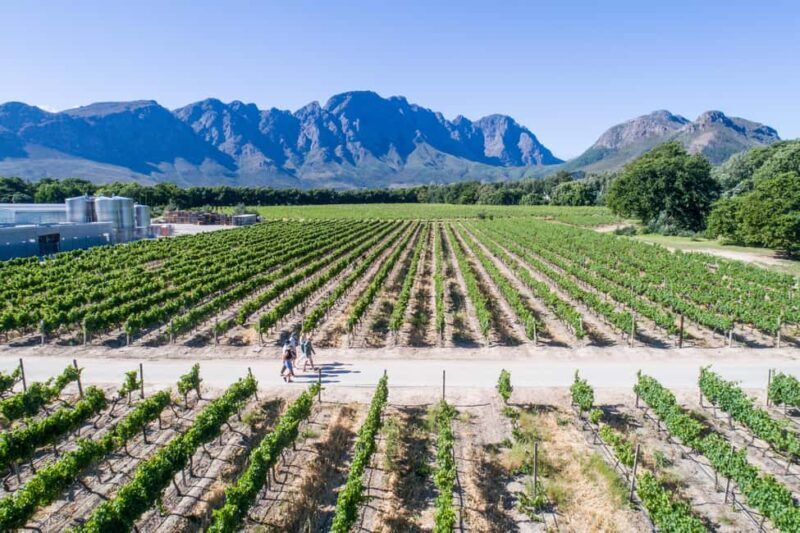Franschhoek: An enchanting storytelling walk to 3 wine farms - Frequently Asked Questions