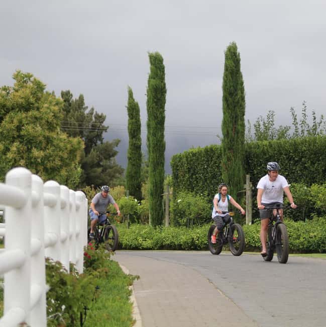 Franschhoek: E-Bike Guided Winery Tour - Practical Details and Value