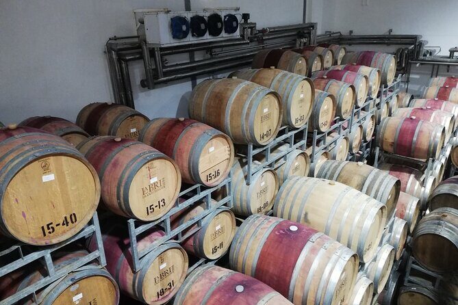 Franschhoek E-bike Ride & Wine w.Lunch - Key Points