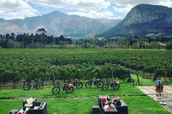 Franschhoek E-Bike Wine Tour (Half Day) - An In-Depth Look at the Experience