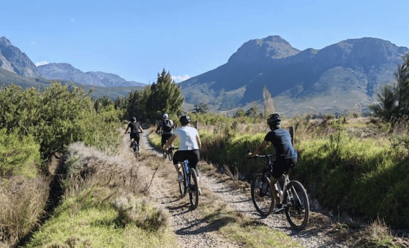 Franschhoek: E-Bike & Wine Tour (Shared Tour) - Key Points