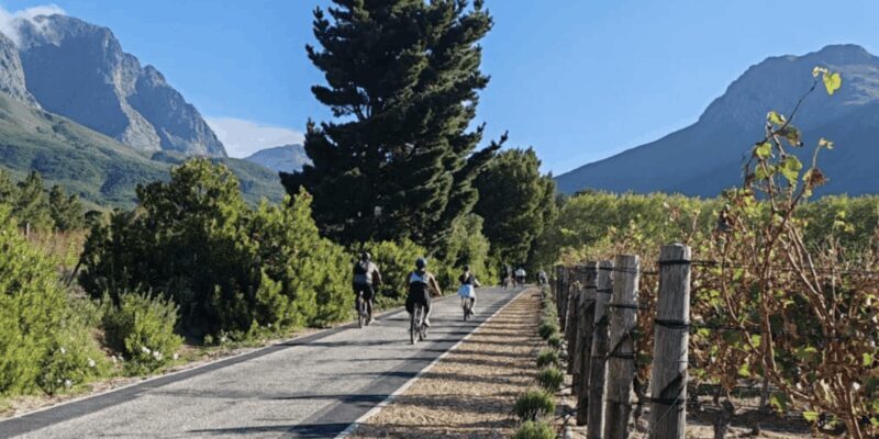 Franschhoek: E-Bike & Wine Tour (Shared Tour) - Authentic Experiences from Reviews
