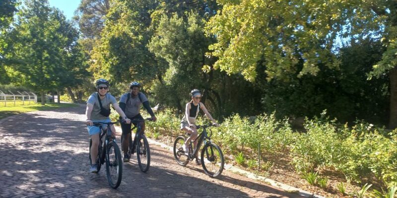 Franschhoek E-Bike & Wine Tour - An In-Depth Look at the Franschhoek E-Bike & Wine Tour