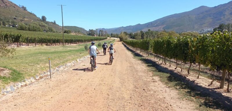 Franschhoek E-Bike & Wine Tour - Final Thoughts: Is This Tour for You?