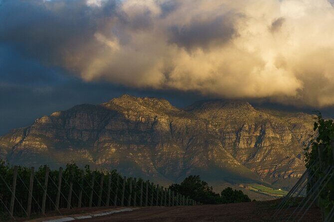 Franschhoek Family Cycle Tour - FAQs