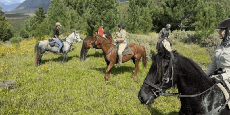 Franschhoek: Half Day Horse Trail and Wine Tasting - Key Points