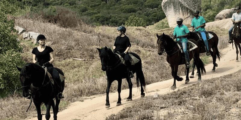 Franschhoek: Half Day Horse Trail and Wine Tasting - What You Can Expect on this Horseback and Wine Adventure