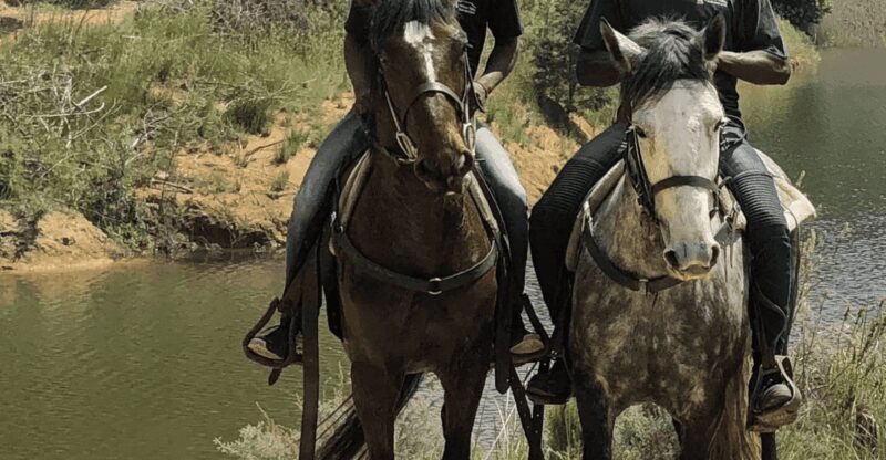 Franschhoek: Half Day Horse Trail and Wine Tasting - The Experience Provider: Wine Valley Adventures