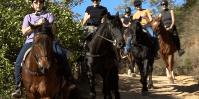 Franschhoek: Half Day Horse Trail and Wine Tasting - Analyzing the Value