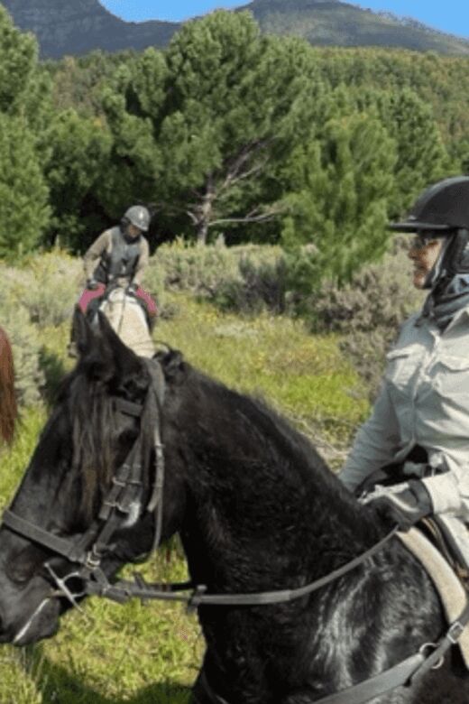 Franschhoek: Half Day Horse Trail and Wine Tasting - Who Would Enjoy This Tour?