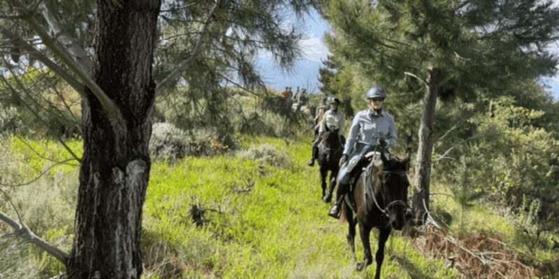 Franschhoek: Half Day Horse Trail and Wine Tasting - FAQ: Your Practical Questions Answered