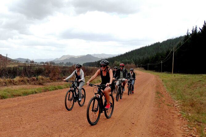 Franschhoek Half Day Winelands Mountain Bike Tour - Key Points