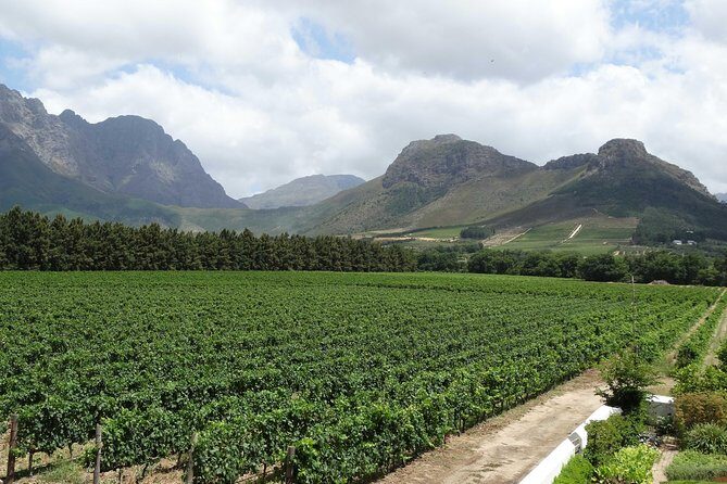 Franschhoek Half Day Winelands Mountain Bike Tour - Setting the Stage: The Tour Overview