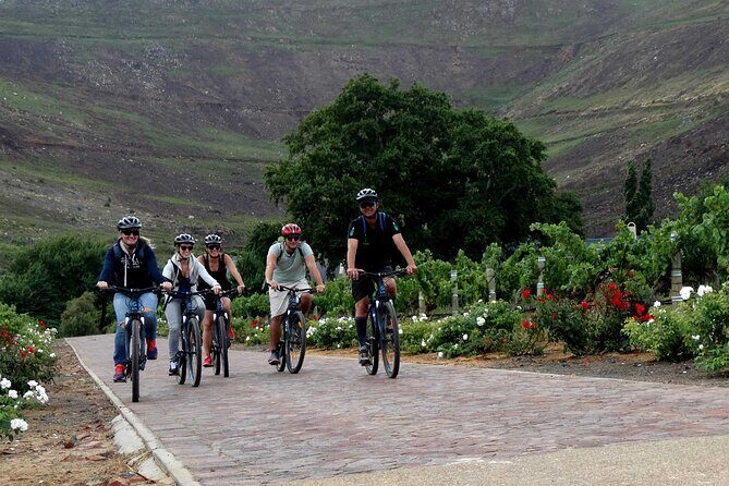 Franschhoek Half Day Winelands Mountain Bike Tour - Wine and Food: The Art of Pairing