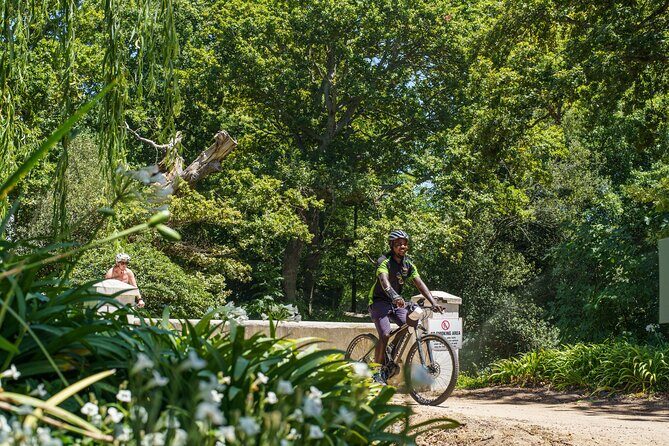Franschhoek Half Day Winelands Mountain Bike Tour - Practical Details: What You Should Know