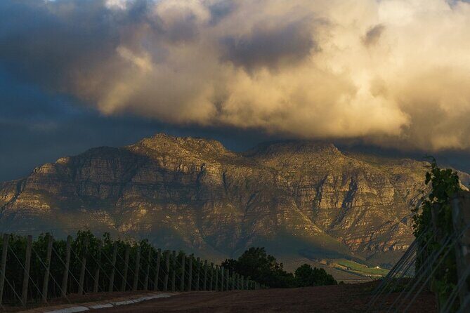 Franschhoek Half Day Winelands Mountain Bike Tour - Who Will Love This Tour?