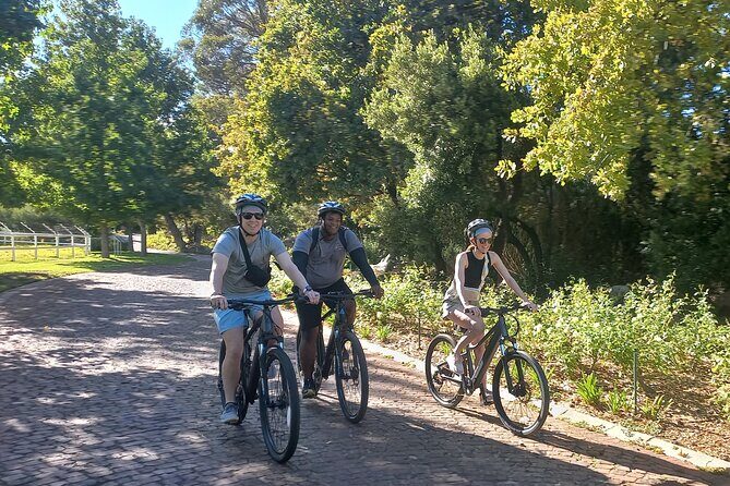 Franschhoek Shared E-Bike and Wine Tour - An In-Depth Look at the Franschhoek E-Bike and Wine Tour