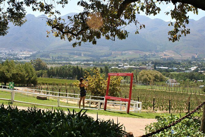 Franschhoek Sip & Cycle Experience Full Day - Private Tour - The Experience in Detail: Why It’s Worth the Price