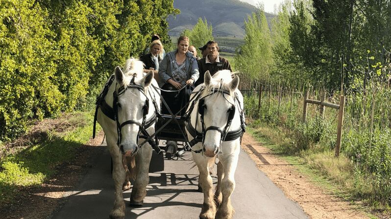 Franschhoek: Vrede en Lust Wine Estate 1H Carriage Ride - The Setting: Vrede en Lust in the Heart of Franschhoek