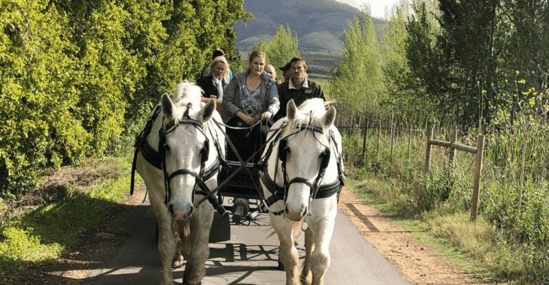 Franschhoek: Vrede en Lust Wine Estate 1H Carriage Ride - The Guide and Group Dynamics