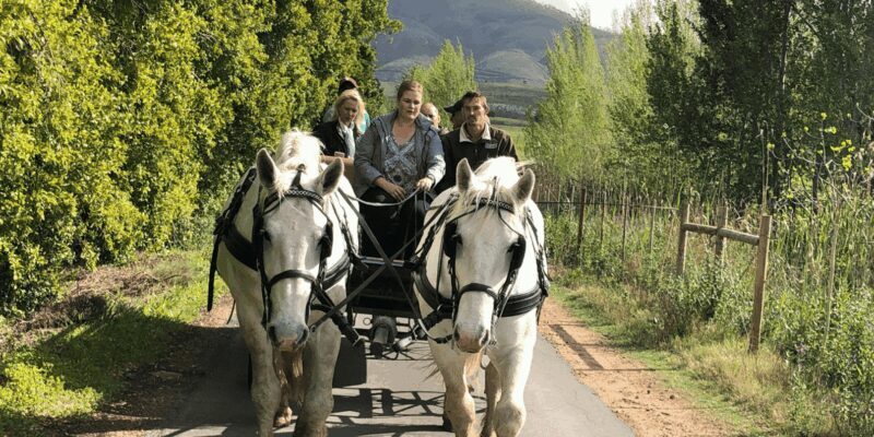 Franschhoek: Vrede en Lust Wine Estate 1H Carriage Ride - Practicalities: What to Bring and Consider