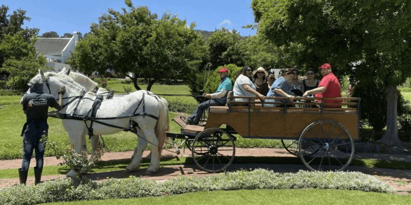 Franschhoek: Vrede en Lust Wine Estate 1H Carriage Ride - Authenticity and Unique Appeal