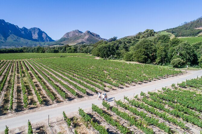 Franschhoek Wine Walk with Lunch - An In-Depth Look at the Franschhoek Wine Walk