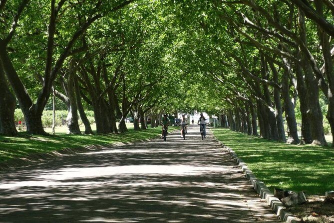 Franschhoek Winelands Luxury EBike Tour - The Basics of the Franschhoek Winelands EBike Tour