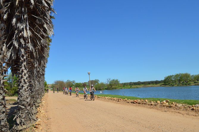 Franschhoek Winelands Luxury EBike Tour - The Experience: What Youll Really Get