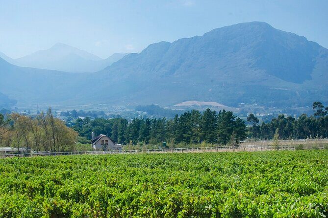 Franschhoek Winelands Luxury EBike Tour - Why This Tour Stands Out