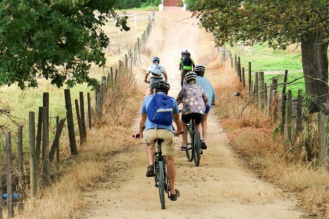Franschhoek Winelands Luxury EBike Tour - Who Should Consider This Tour?