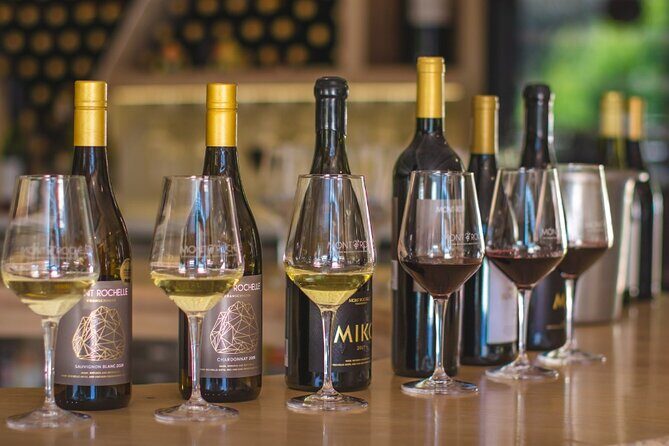 Franschhoek Winelands Luxury EBike Tour - The Sum Up: Who Will Love This Tour?