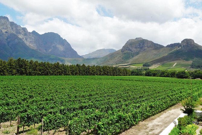 Franschhoek Winelands Meander © - Key Points